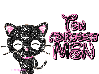 MSN